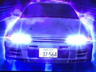 クマに襲われ女性4人がけが 市街地や小学校近く 秋田・北秋田市