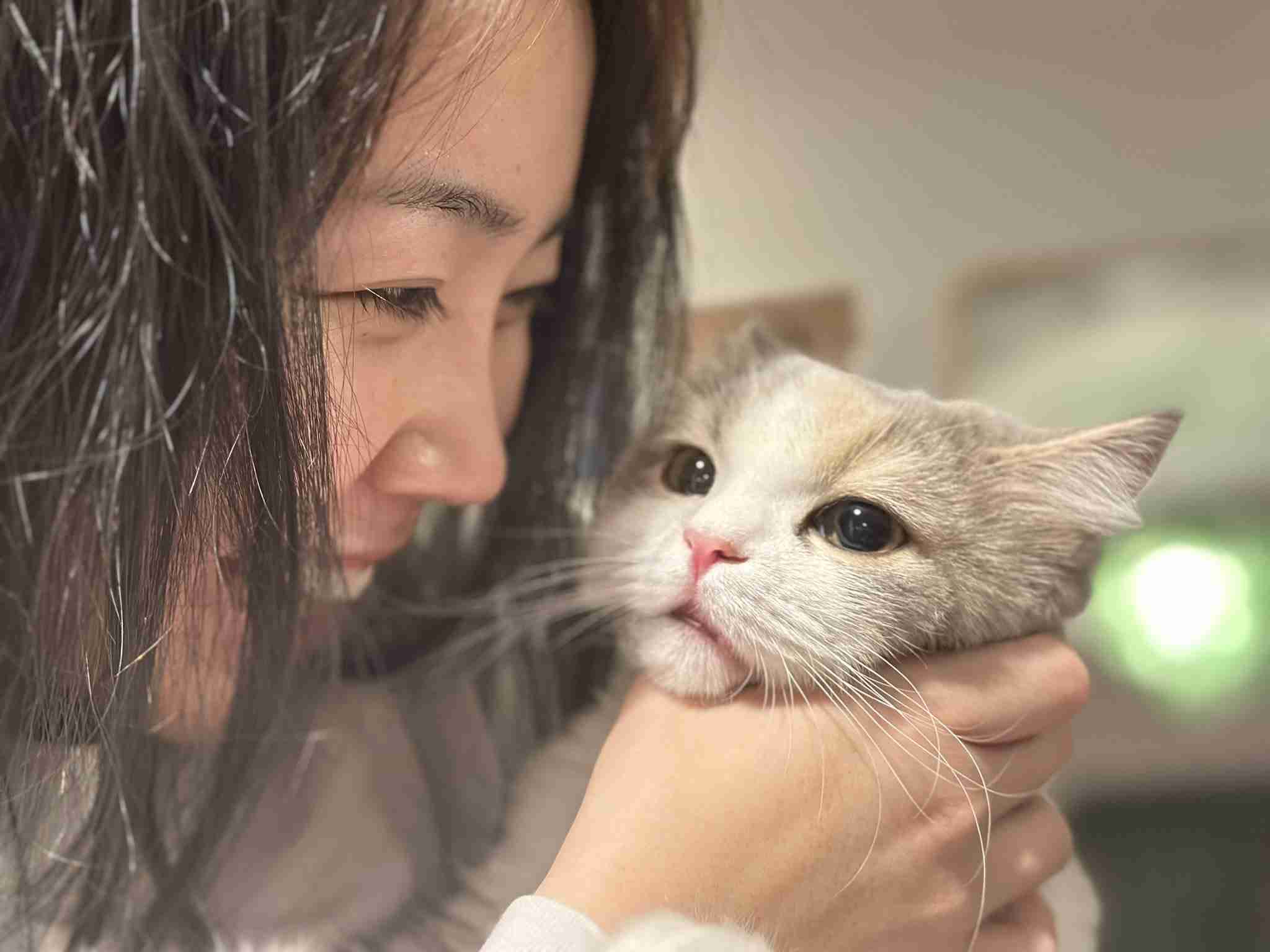 UUUM、東海オンエア巡る騒動を謝罪「コンプラ上に問題」　離婚宣言から波紋…700万人超ファン不安視