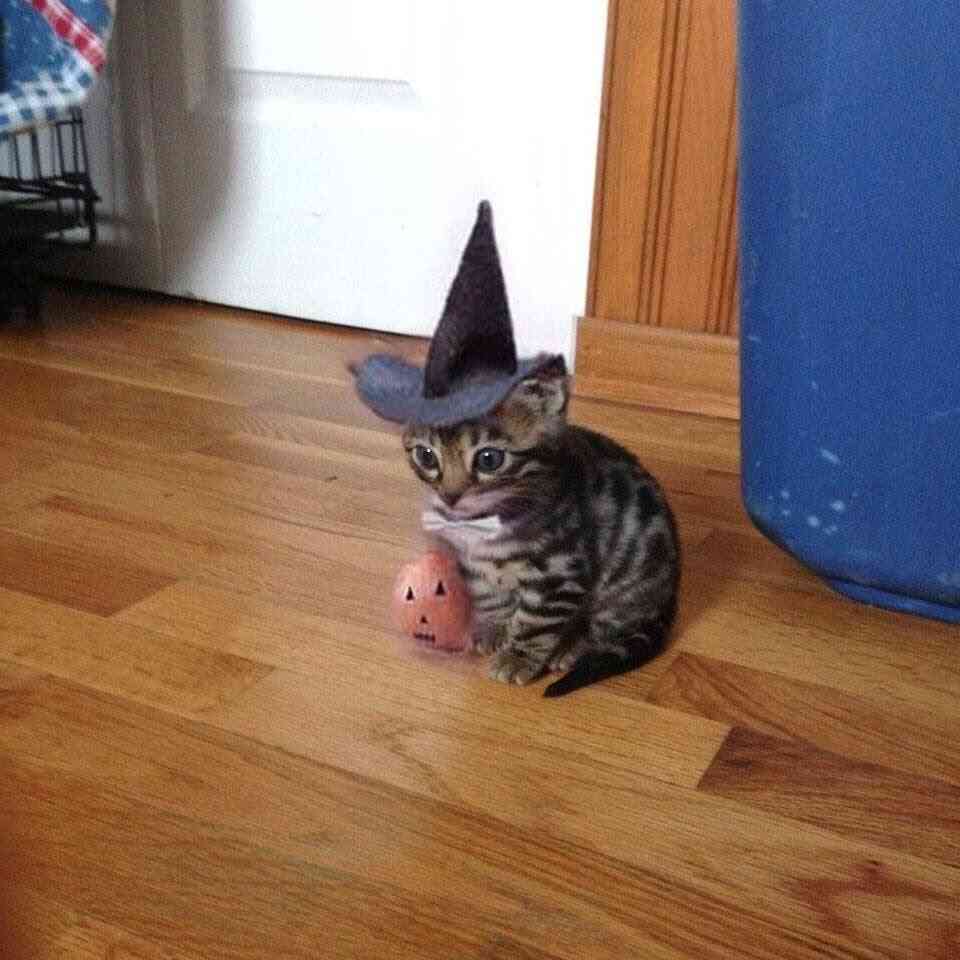 おうちハロウィンのアイデア