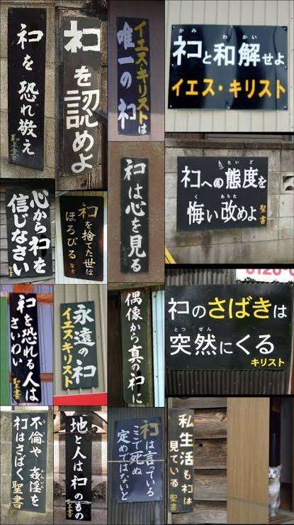 食肉処理場に向かう車から…猫1000匹救出　偽装販売目的か　中国