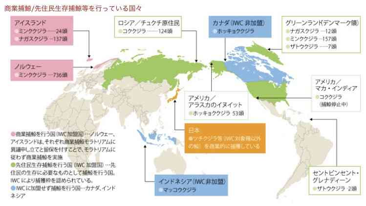 食肉処理場に向かう車から…猫1000匹救出　偽装販売目的か　中国
