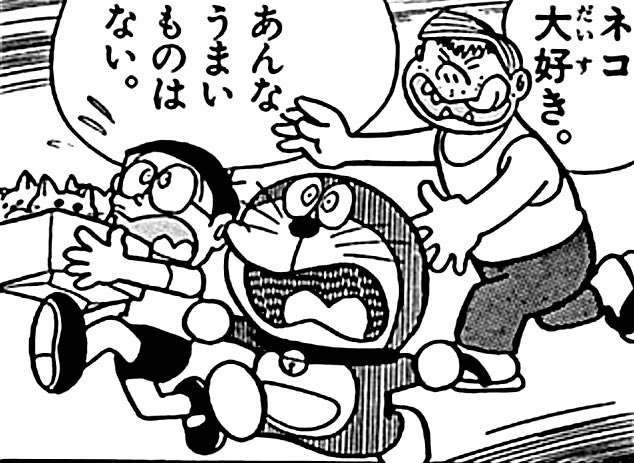 食肉処理場に向かう車から…猫1000匹救出　偽装販売目的か　中国