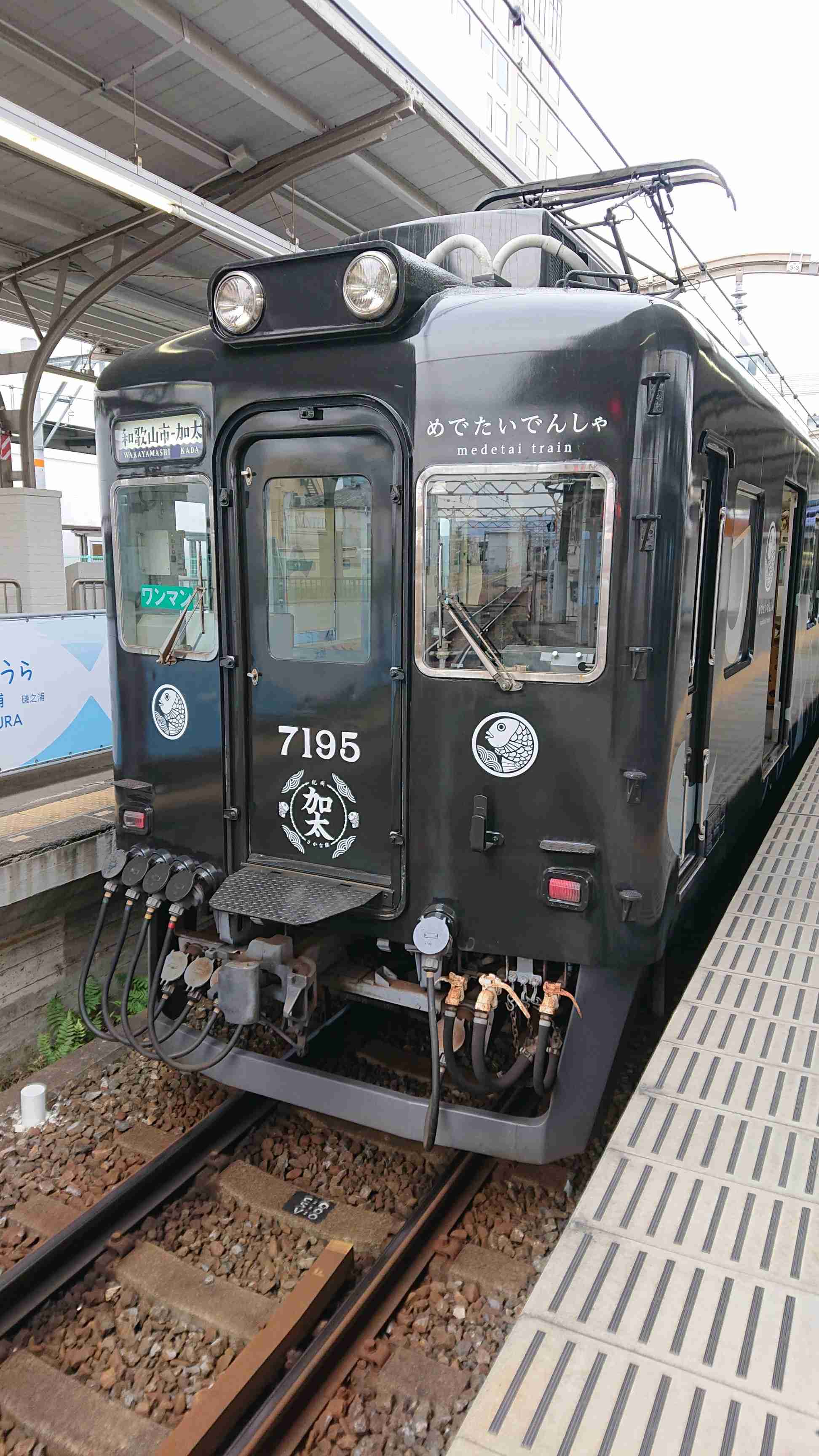 色んな電車が見たい