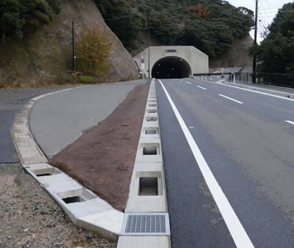 ランニングしていたら苔に滑って重傷→道路を管理する市に約280万円の賠償命令、50代男性が坂道を滑り落ち骨折
