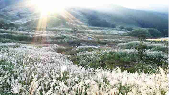 【二次元】鬼滅の刃で彼氏にしたいキャラPart14【妄想】