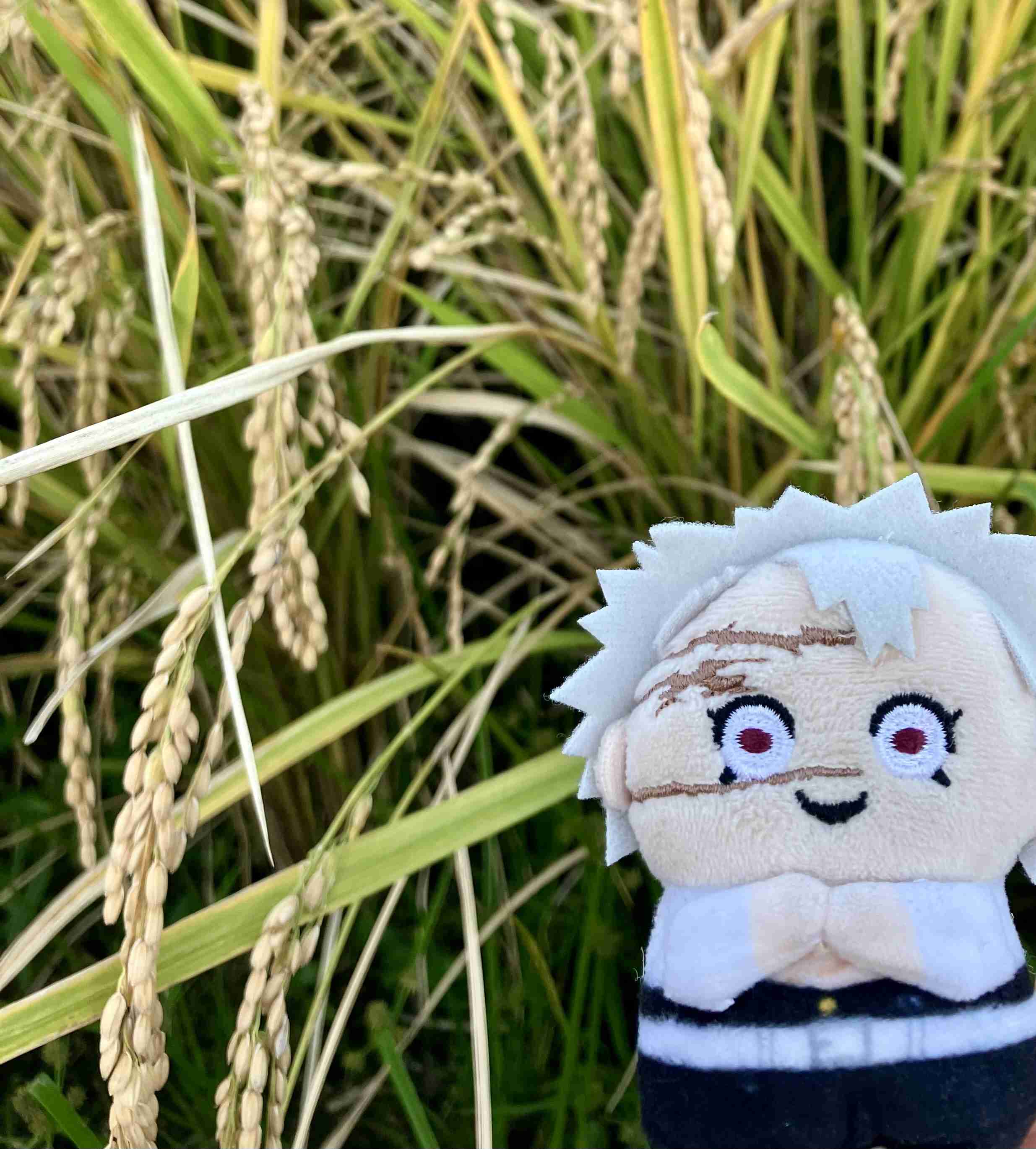 【二次元】鬼滅の刃で彼氏にしたいキャラPart14【妄想】