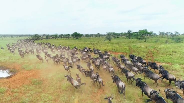 【二次元】鬼滅の刃で彼氏にしたいキャラPart14【妄想】