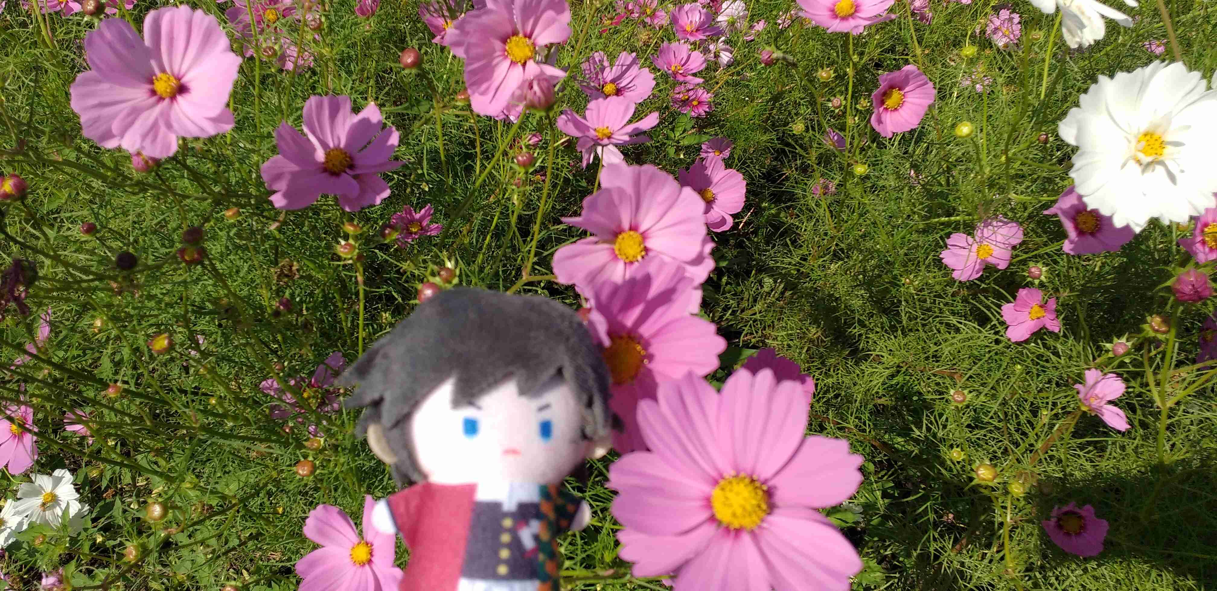 【二次元】鬼滅の刃で彼氏にしたいキャラPart14【妄想】