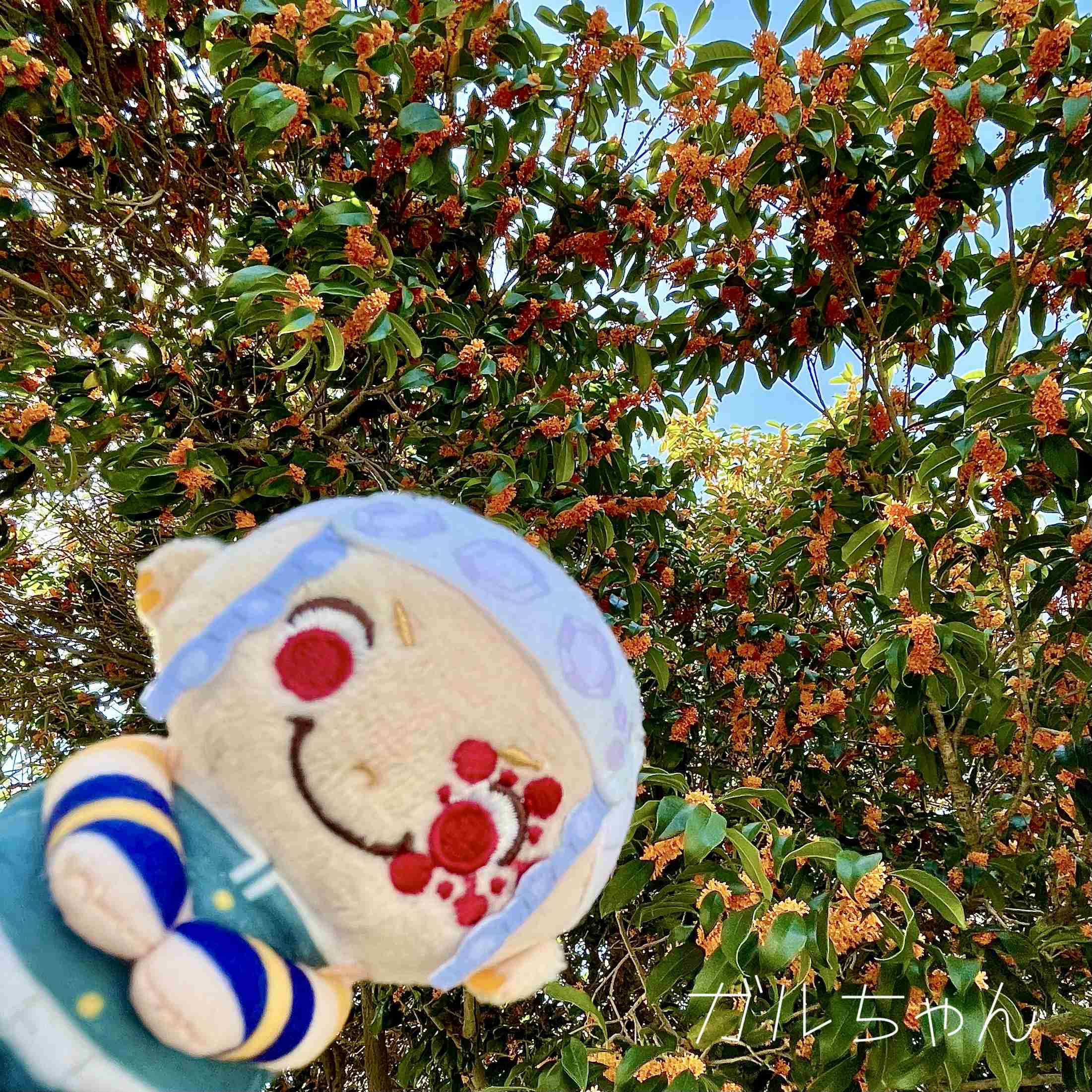 【二次元】鬼滅の刃で彼氏にしたいキャラPart14【妄想】