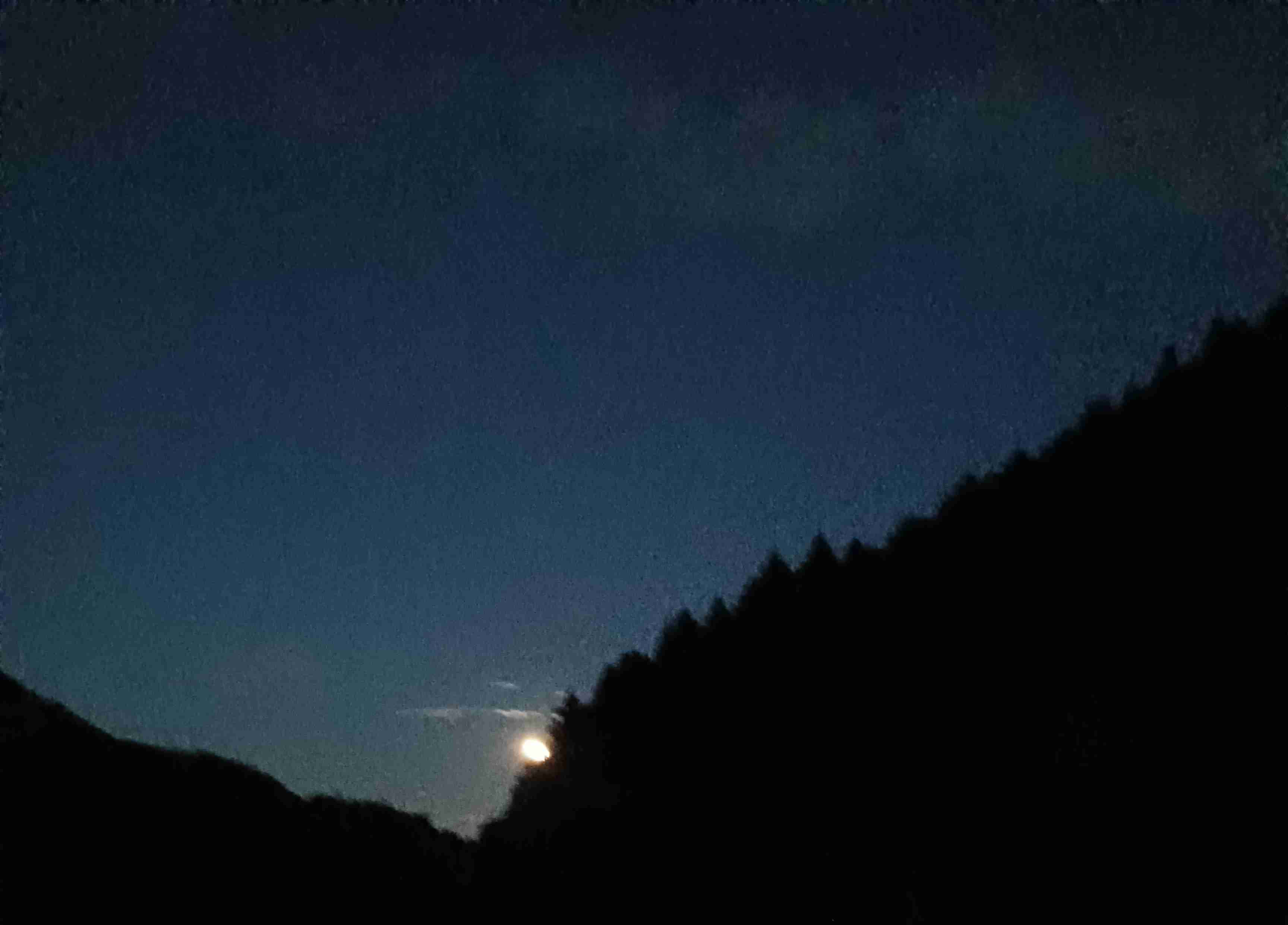 【二次元】鬼滅の刃で彼氏にしたいキャラPart14【妄想】