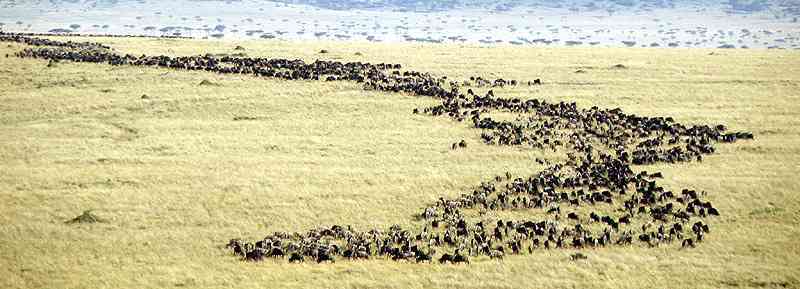 【二次元】鬼滅の刃で彼氏にしたいキャラPart14【妄想】