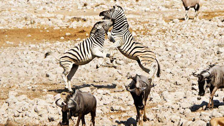 【二次元】鬼滅の刃で彼氏にしたいキャラPart14【妄想】