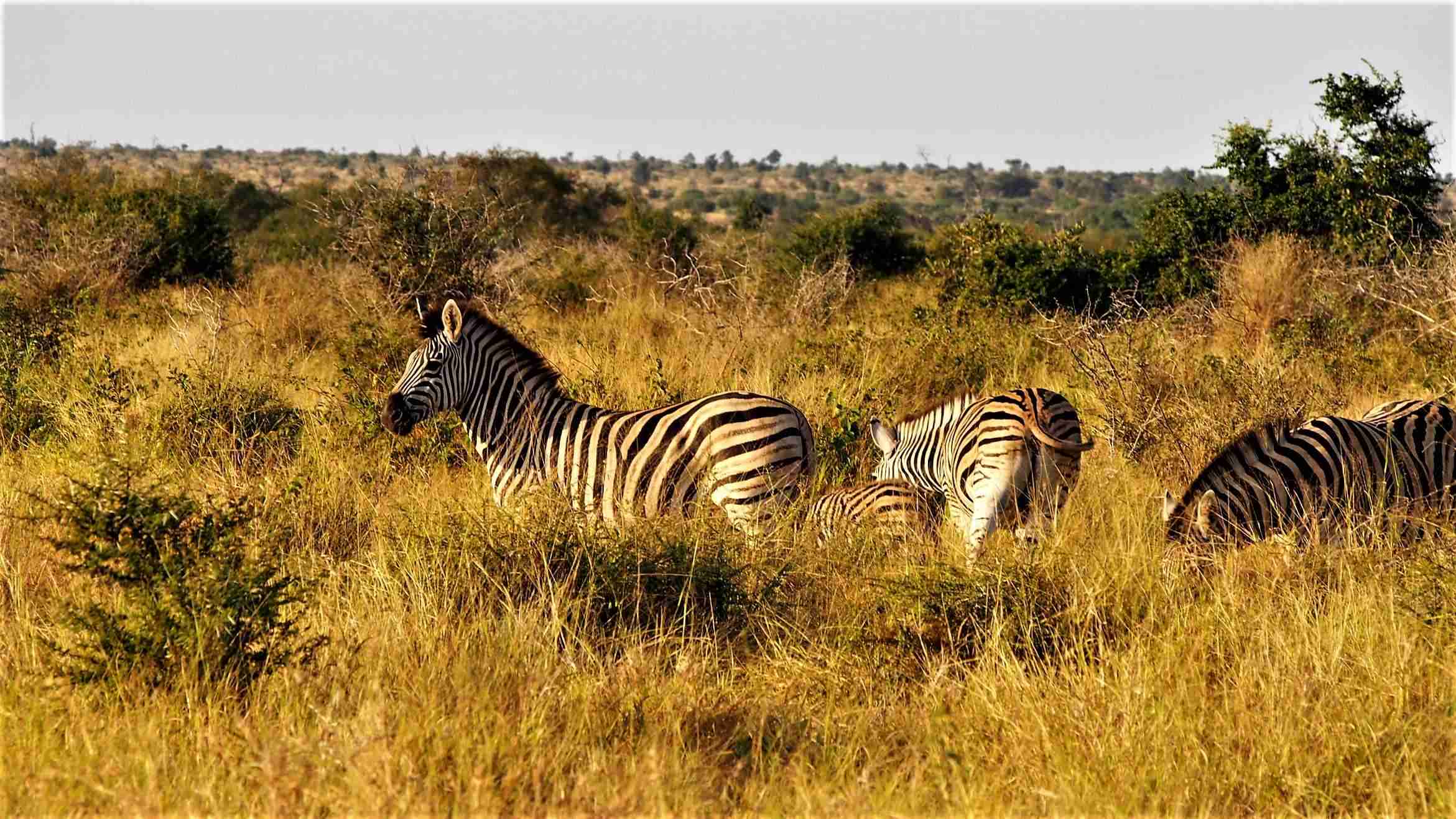 【二次元】鬼滅の刃で彼氏にしたいキャラPart14【妄想】