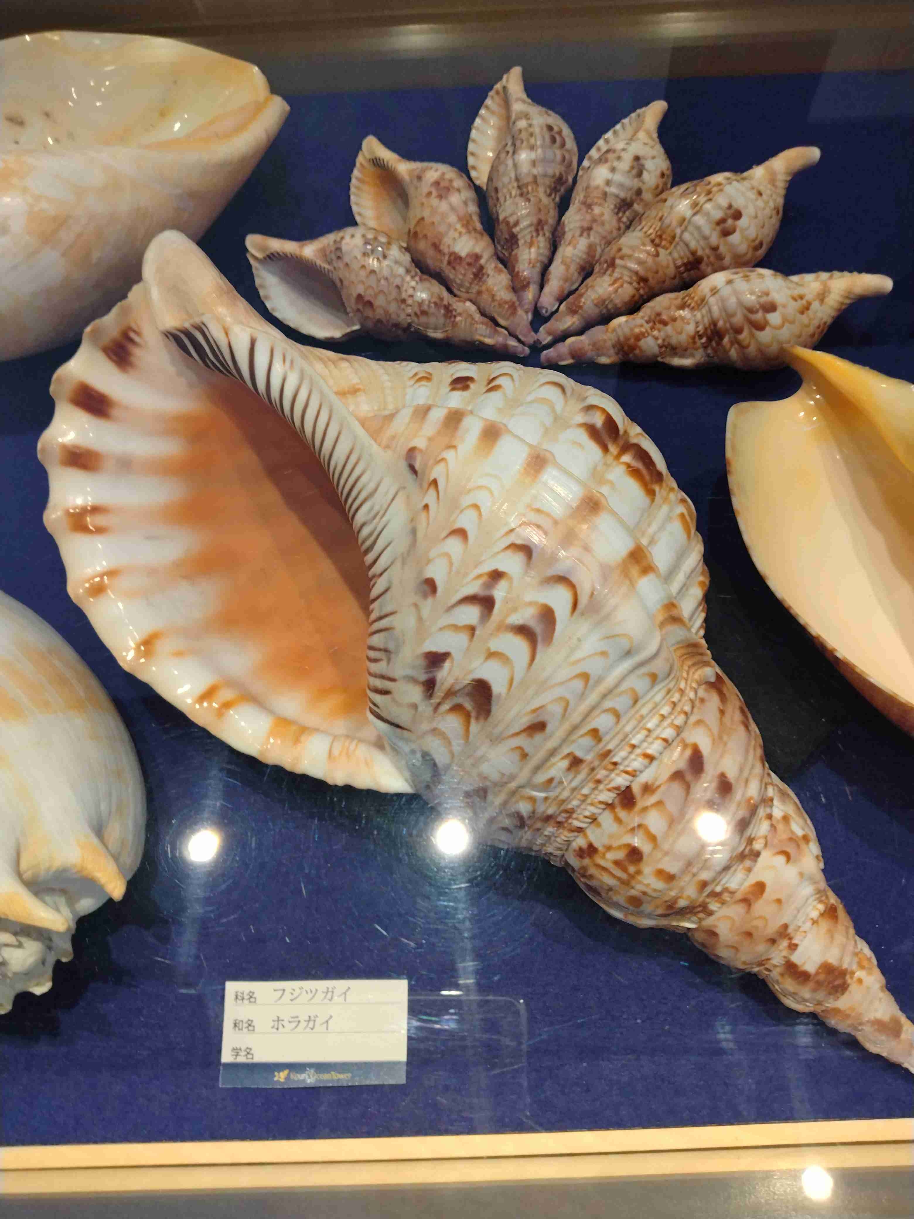 【二次元】鬼滅の刃で彼氏にしたいキャラPart14【妄想】