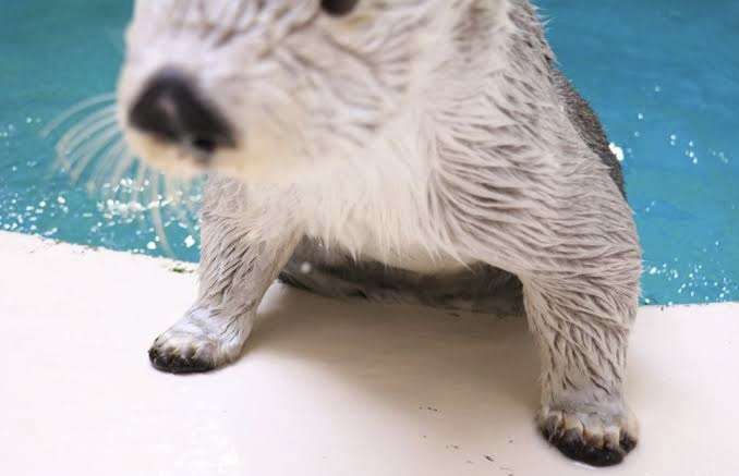 【二次元】鬼滅の刃で彼氏にしたいキャラPart14【妄想】