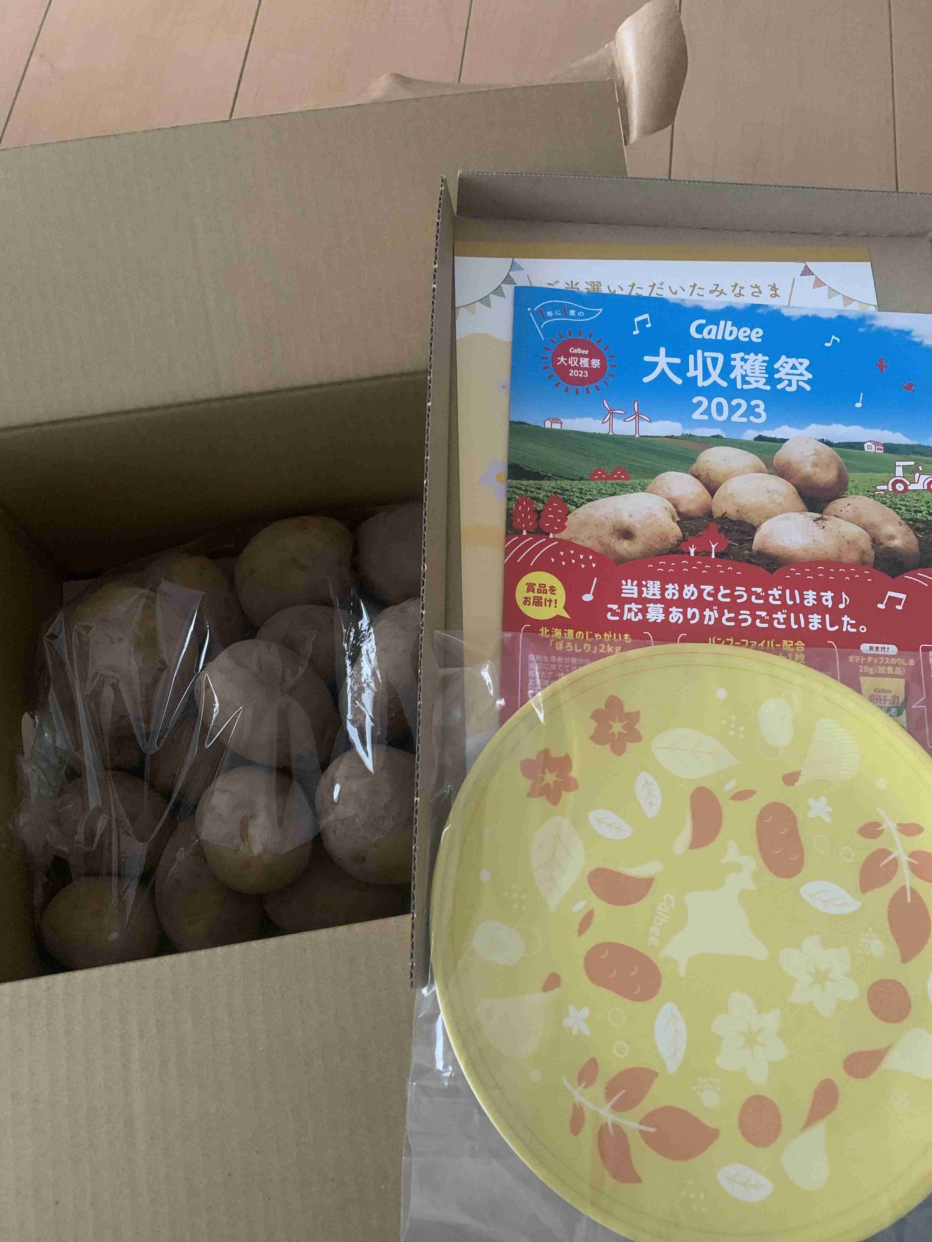 最近懸賞で当たった物