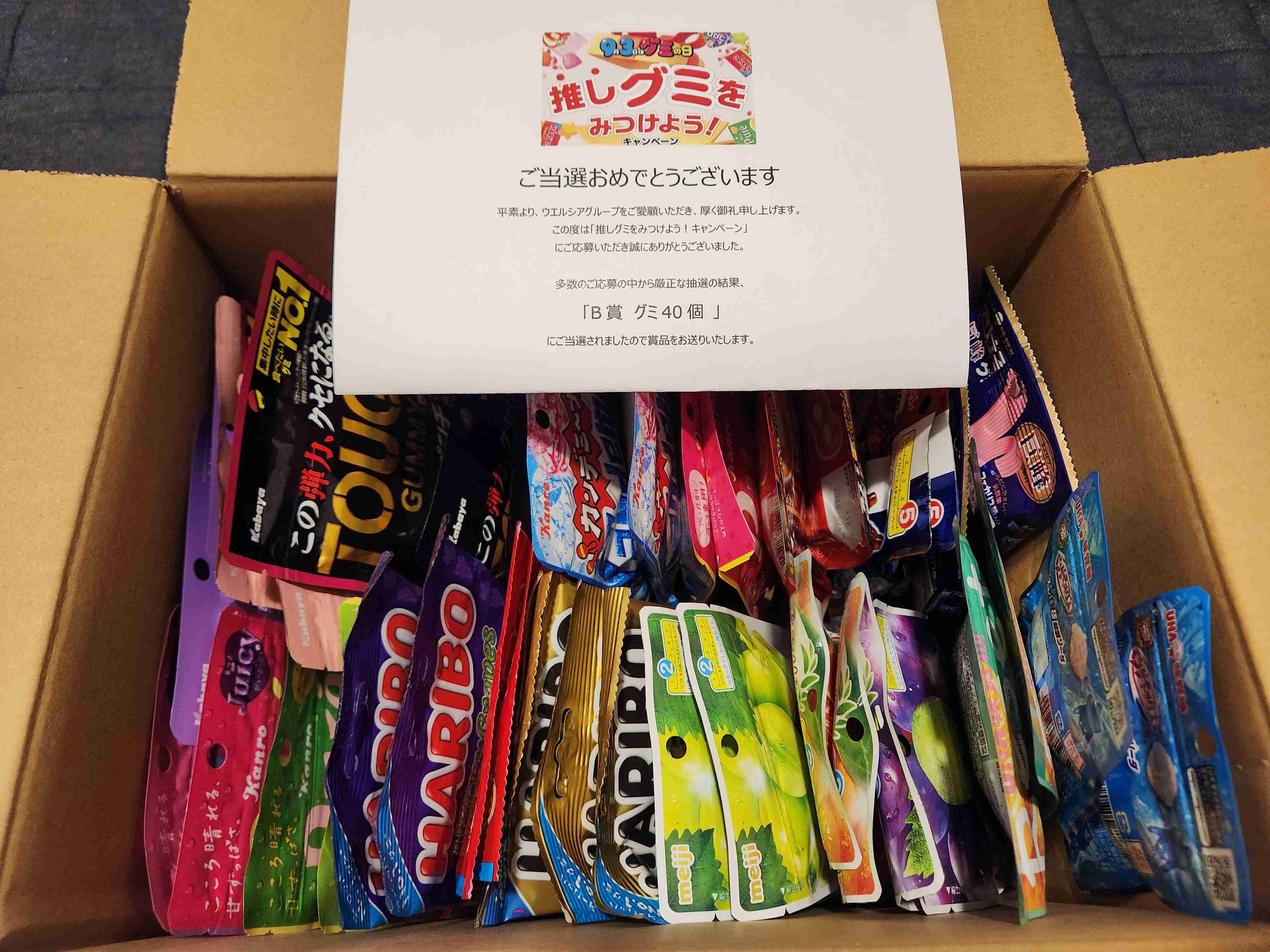 最近懸賞で当たった物