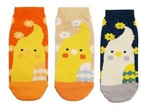 履いてる靴下、最近買った靴下何でも良いので見せてください。