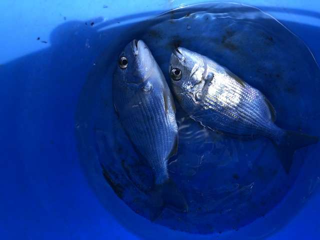 【アラフォー以上】未経験なこと教えて