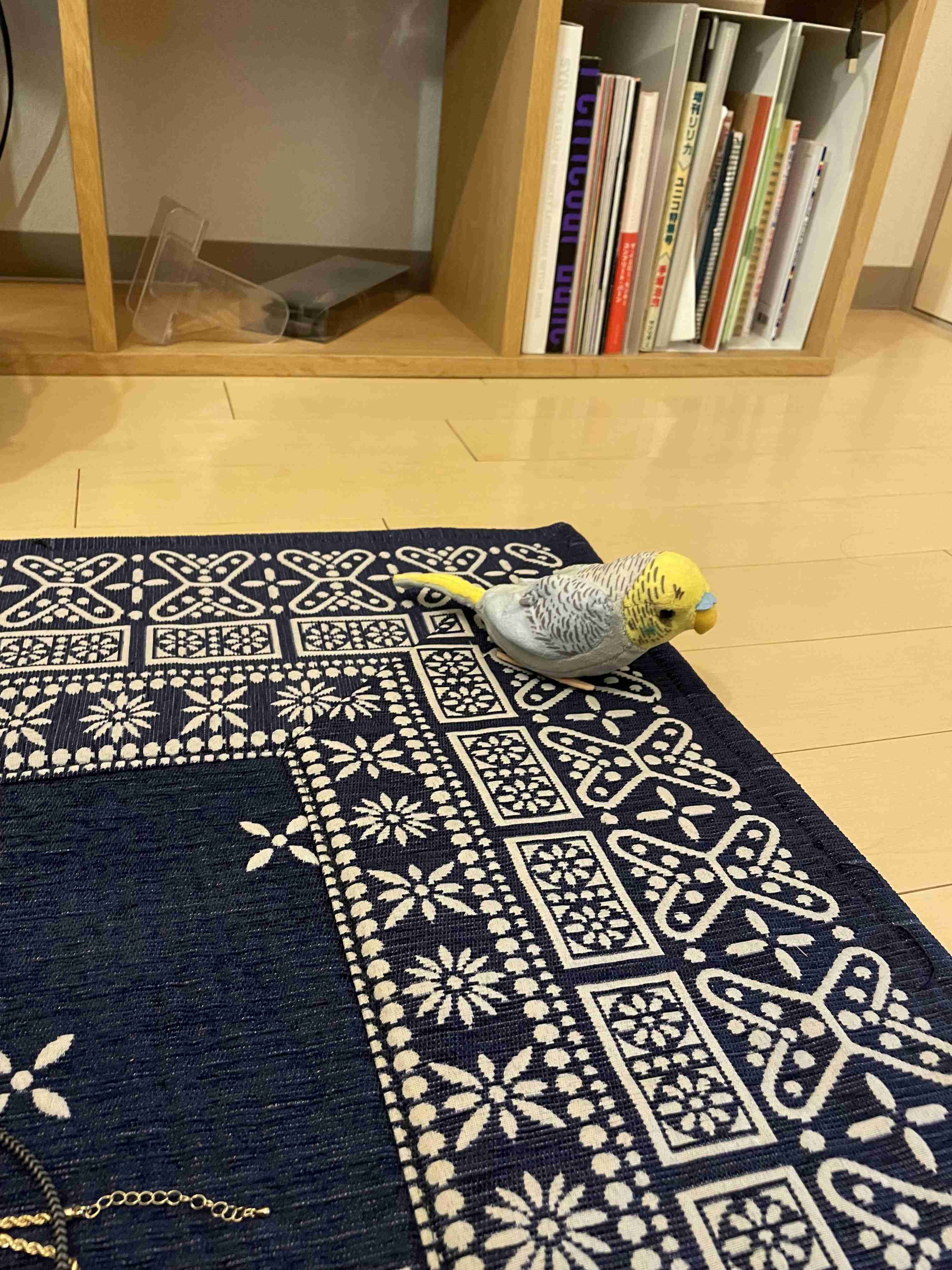 ぬいぐるみを溺愛してる人集合【part10】