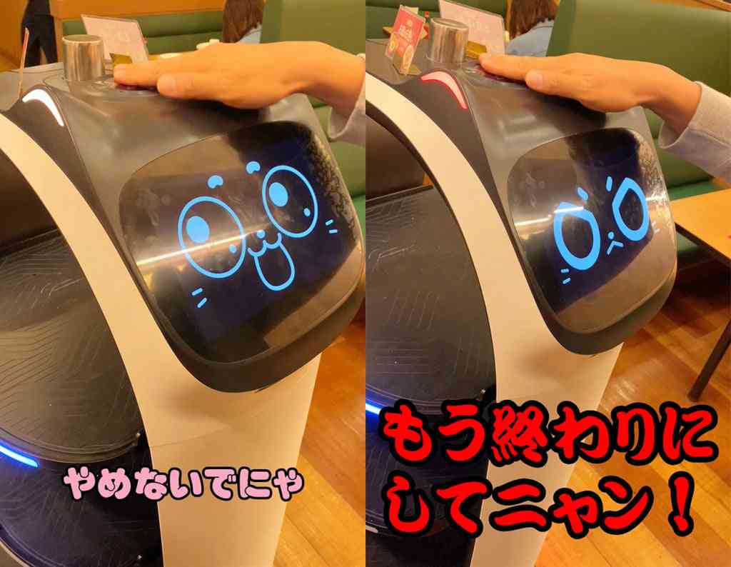 配膳ロボットのお店行ったことありますか