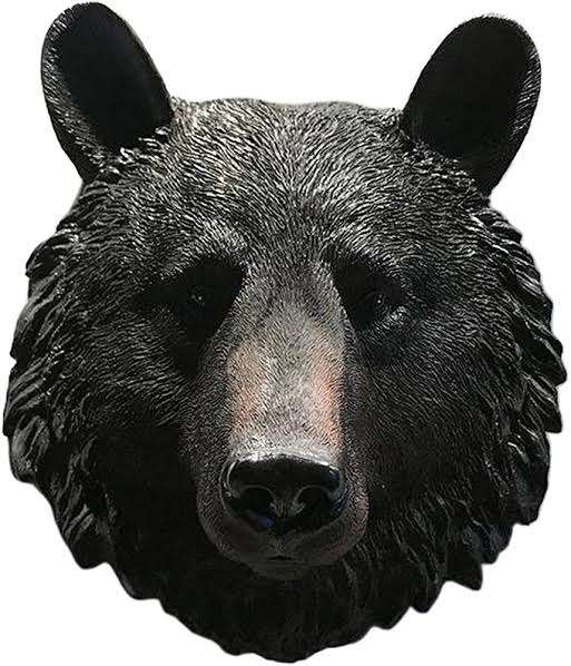 秋田市新屋の住宅街で複数人がクマに襲われけが 5人が病院に運ばれる
