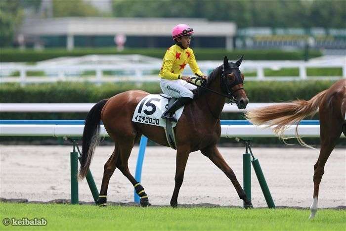 今の気持ちを競走馬の名前っぽく発表するトピ