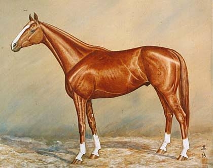 今の気持ちを競走馬の名前っぽく発表するトピ