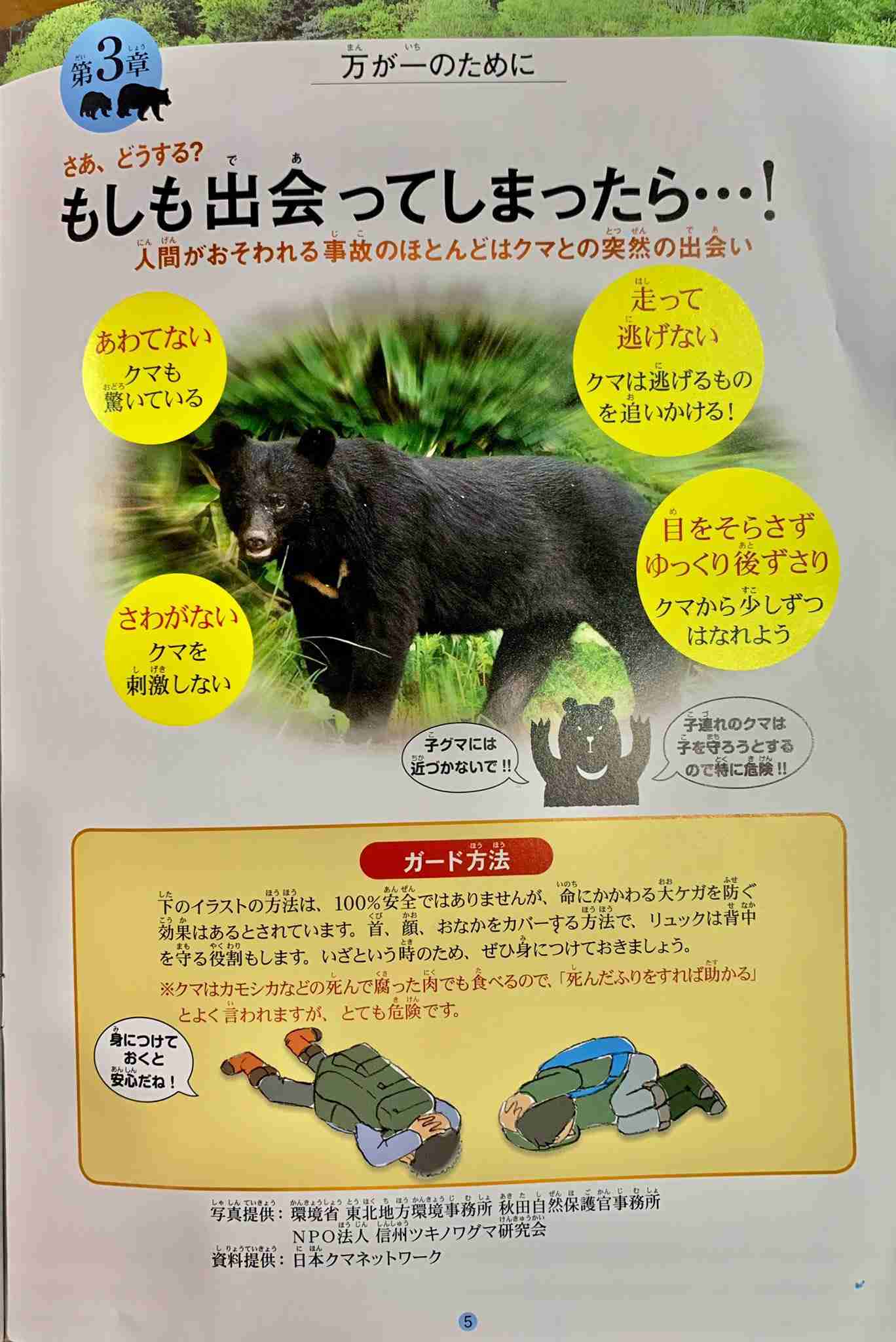 秋田県のクマ3頭「なぜ殺したのか」　県外から苦情殺到、「住民の命守るためご理解を」