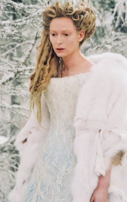 ナルニア国物語が好きな人(映画)