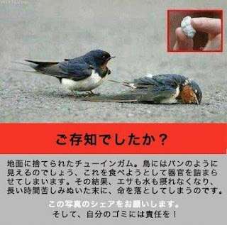 動物愛護について語るトピ