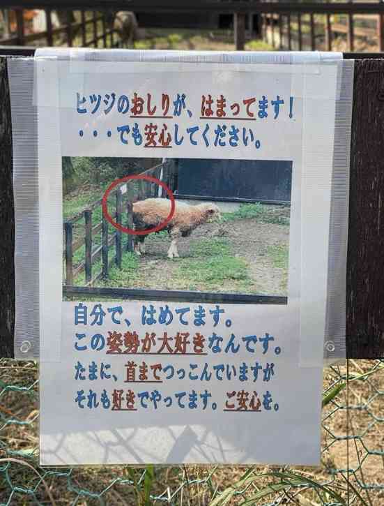 情報量の多い画像がみたい