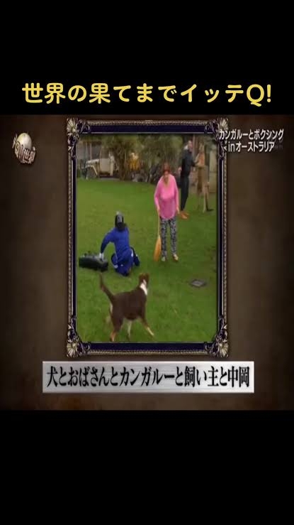 情報量の多い画像がみたい