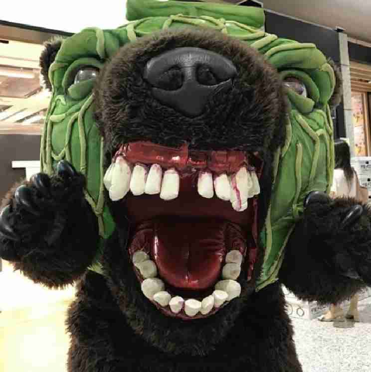 秋田のクマ被害、駆除への“無責任”クレームに近隣住民が猛反論「子どもの命がかかっている」