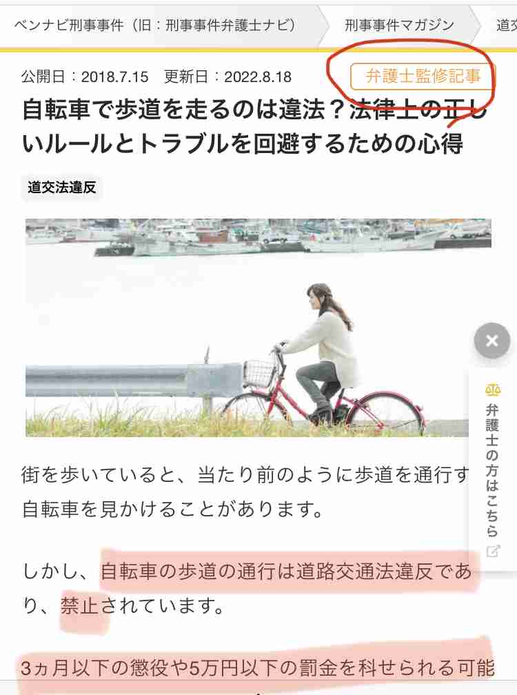 視覚障害者と自転車の“接触事故”多発　世界に遅れる日本の「自転車レーン」整備と国民の誤った認識を専門家が解説