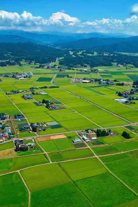 縁もゆかりもない地へ、帯同か単身赴任か