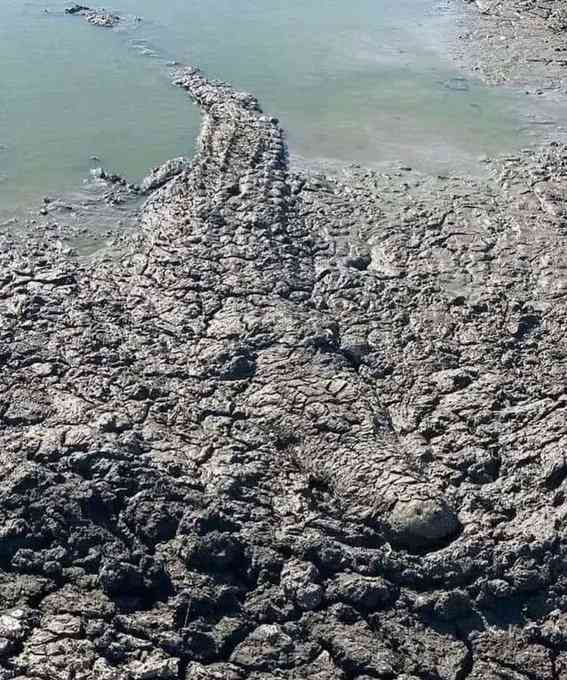 【微閲覧注意】意味が分かると怖い話・画像