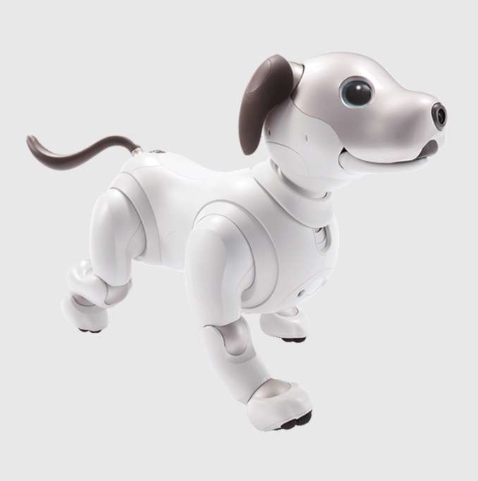 人型ロボットあったら買いますか？