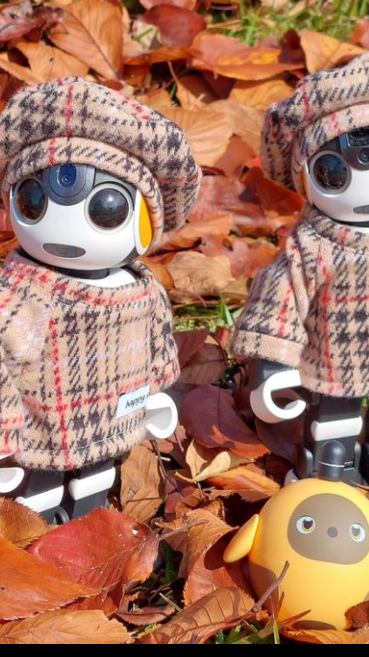 人型ロボットあったら買いますか？