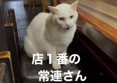 よく行く店での『常連扱い』はアリ？　「気を使って疲れる」「イキってると思われたくない」←ナシ派