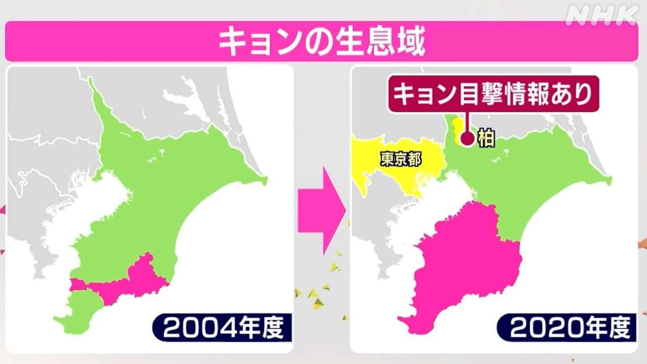 千葉“非常事態”　キョン7万頭が爆発的に繁殖　不気味な鳴き声…住民からは悲鳴も