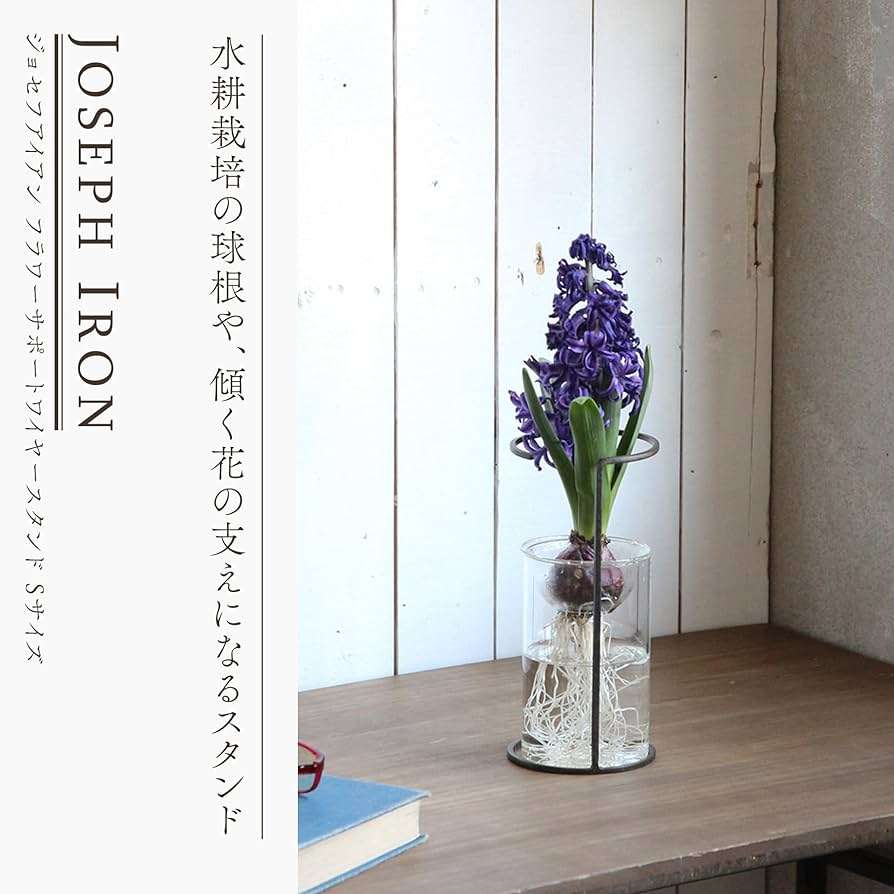 【情報求む】水耕栽培できる植物【花 ☘ 野菜】