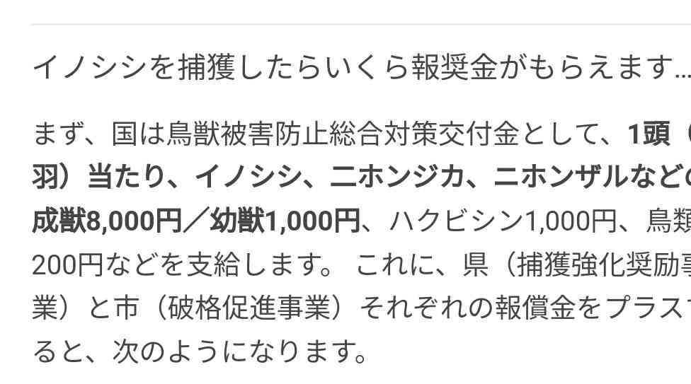 クマだけじゃない「イノシシ被害」の壮絶な実態…作物が食い尽くされて「農業を断念」、自分たちが食べる米が確保できない農家も