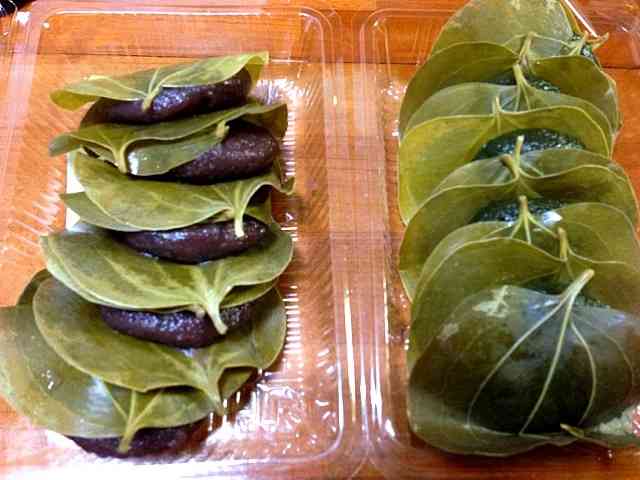 初！鹿児島旅行！