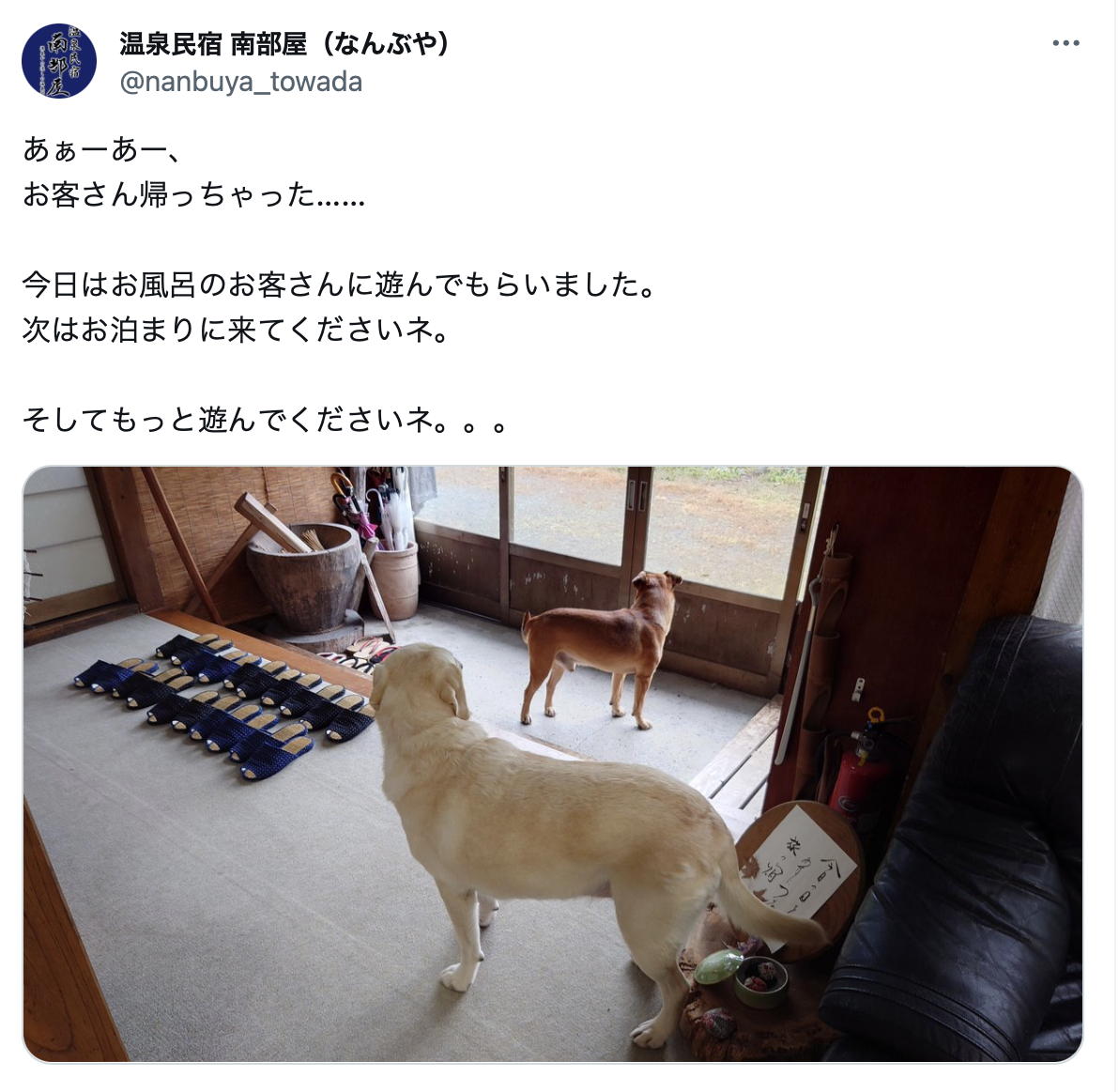 「全国の宿 自慢の看板犬ランキング」2023発表　2位は栃木・那須温泉のゴールデンレトリバー、1位は？
