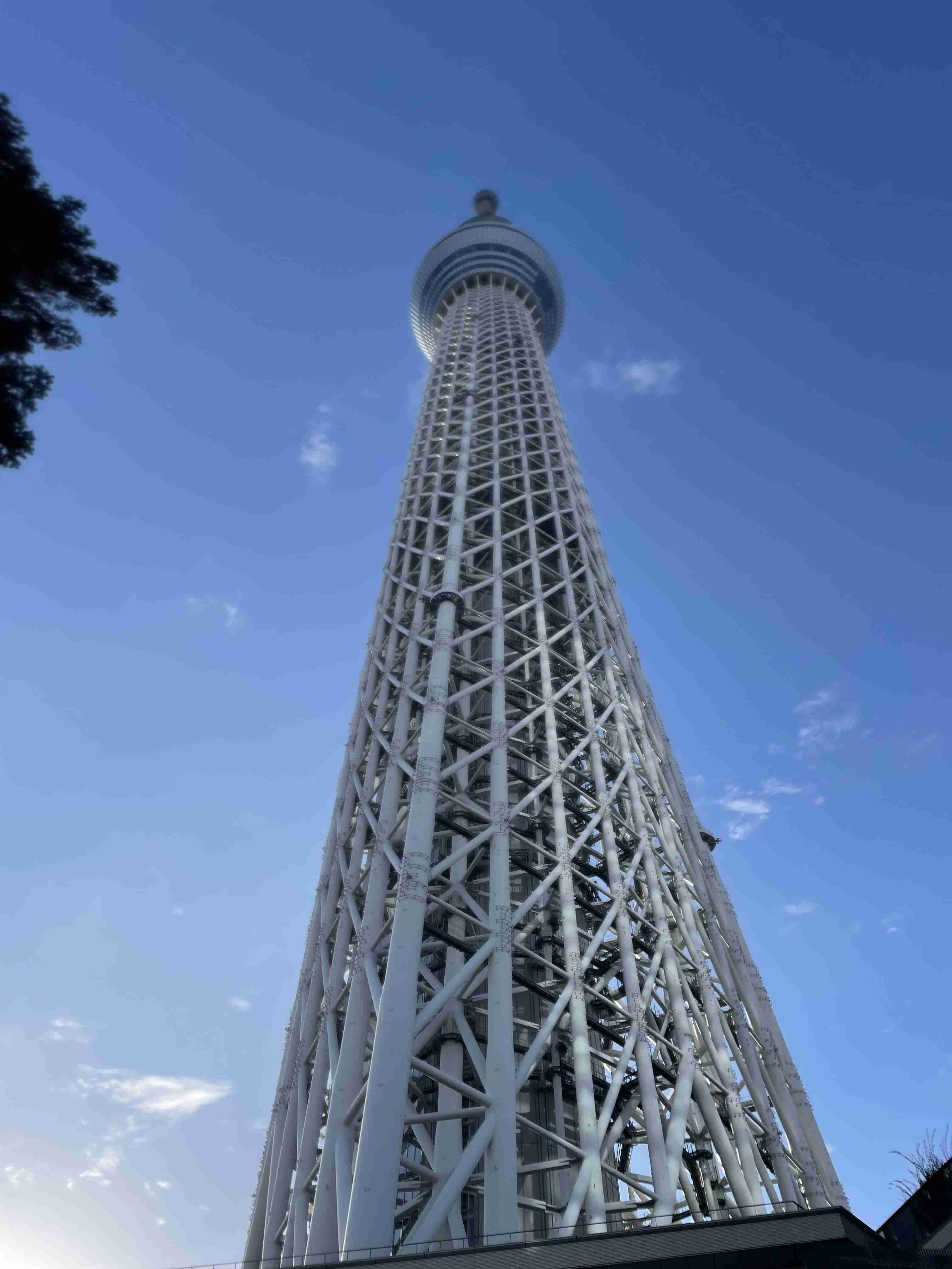 最近のお出掛け・旅行で撮影した写真を貼るトピ。