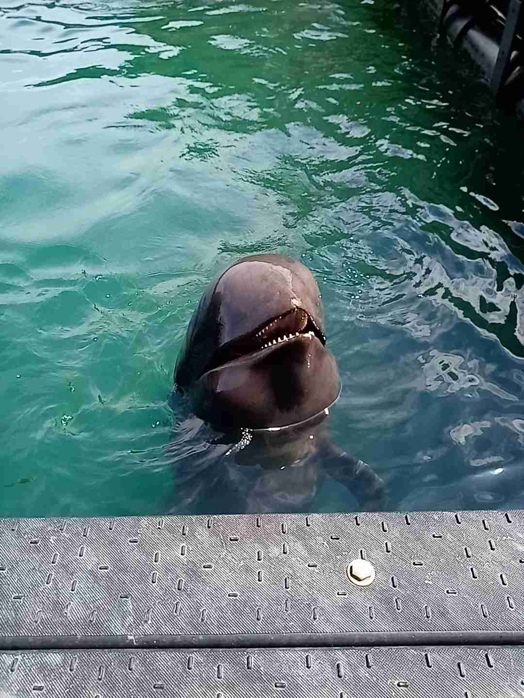 最近のお出掛け・旅行で撮影した写真を貼るトピ。