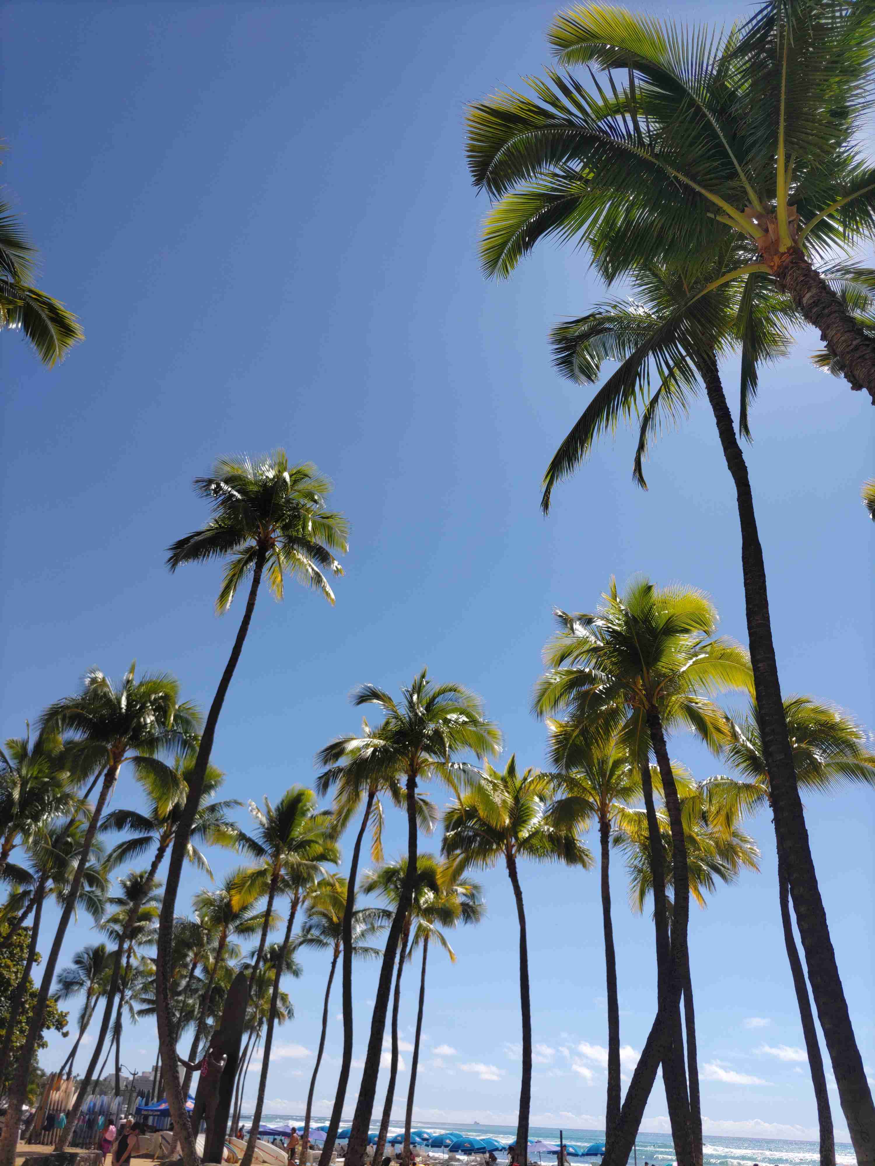 最近のお出掛け・旅行で撮影した写真を貼るトピ。