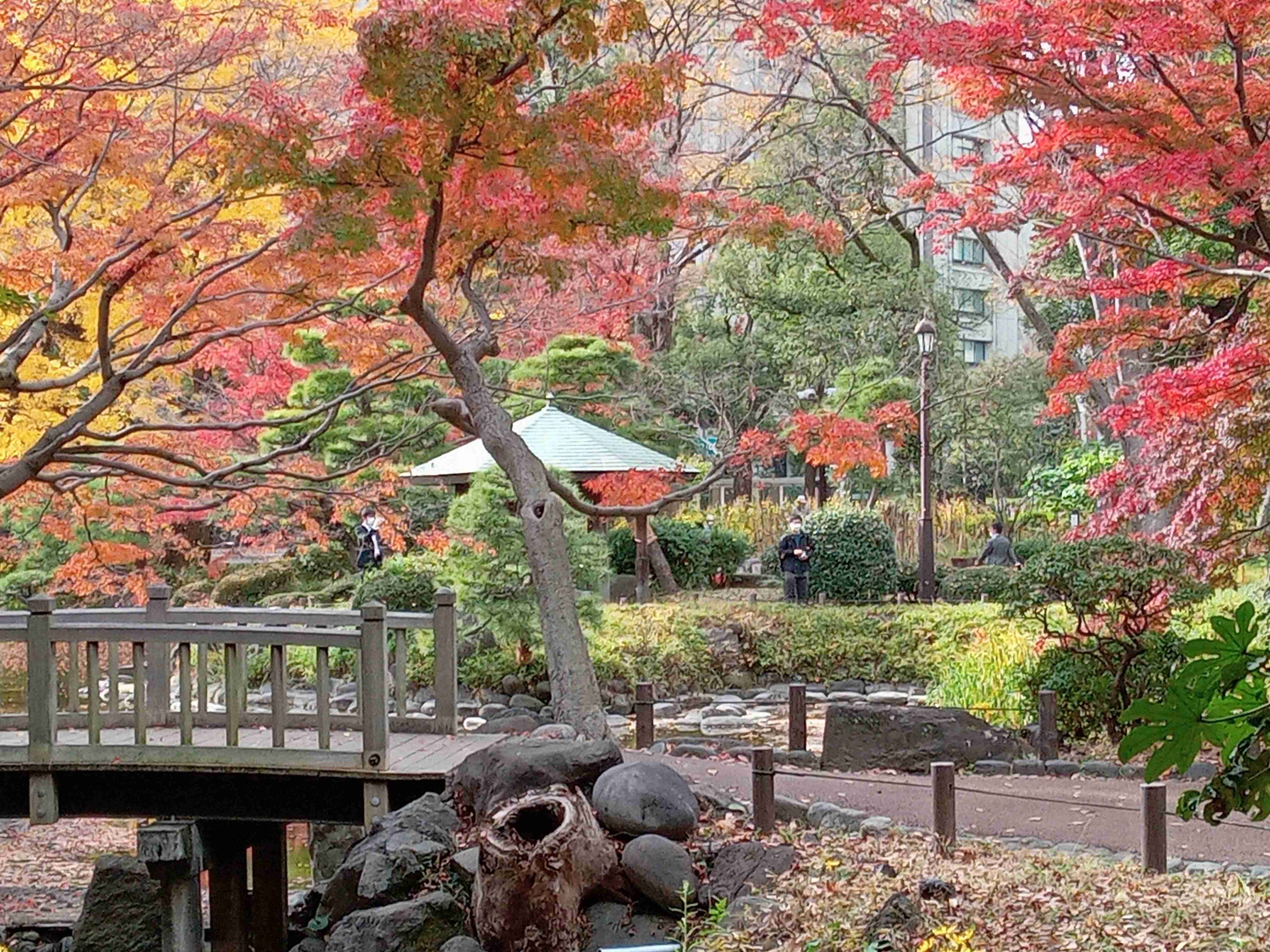 最近のお出掛け・旅行で撮影した写真を貼るトピ。