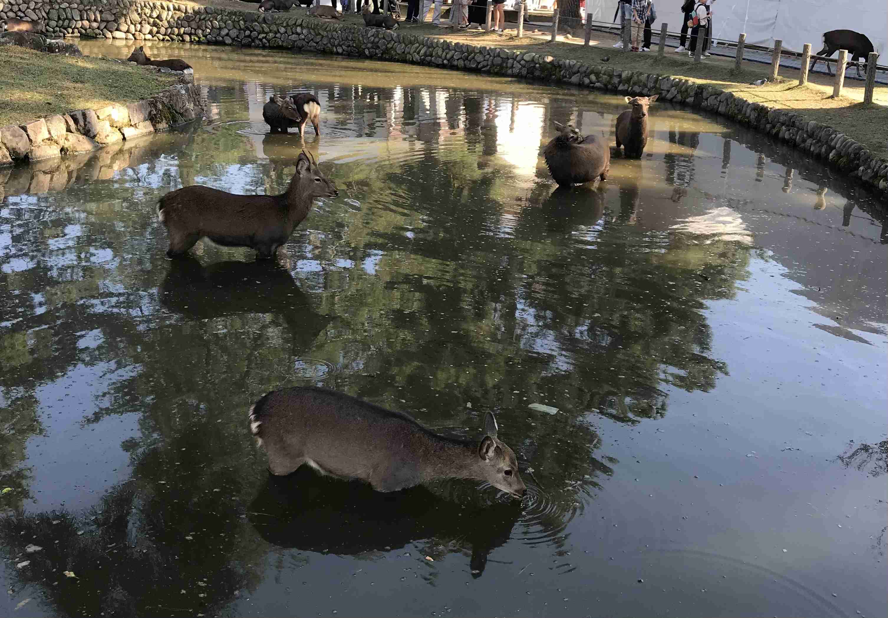 最近のお出掛け・旅行で撮影した写真を貼るトピ。